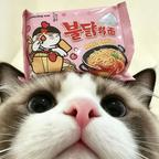 咚咚懒羊羊头像