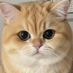 小玉有只小猴子头像