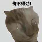 桀桀桀头像