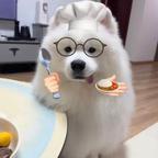 。。。。头像