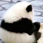 小李飞刀头像