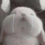 蠢猪别跟我说话头像