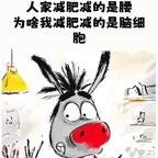 楚暄头像