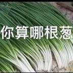 喜欢萧山鸡的元正头像