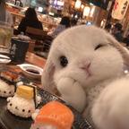 饼饼头像
