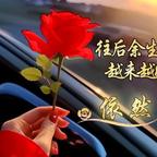 用户54800784头像