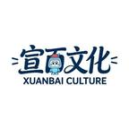宣百文化头像