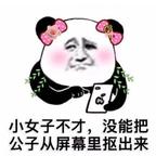 落凤坡遇卧龙先生头像
