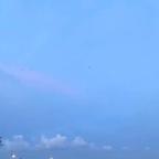 A燕子YGY头像