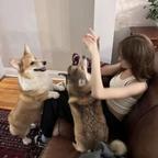 耶耶头像