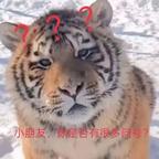 爱吃樱桃蜜饯的王广平头像