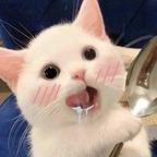 萌囧兽头像