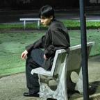 椿树头像