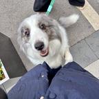  今日宜相见头像