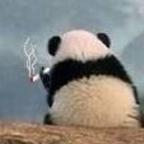 哗啦啦嘿头像