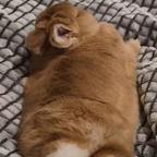 。。。头像