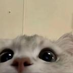 开心头像