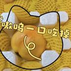 还是阿蓝阿绿头像
