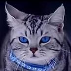 觞头像