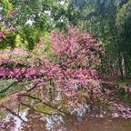 飘花梦醒1头像