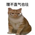 理不直气也壮1269头像