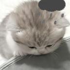 影·小🉑头像