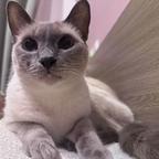 老婆太多写不下头像