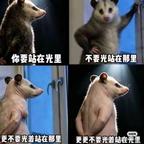 AAA缝纫机批发兔哥头像