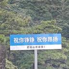 我爱我的关注头像