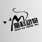 猫科动物制片厂头像