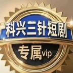 喜欢巨鹰的白琴头像