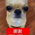 羽家牛肉粉头像