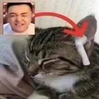 超级猎马人头像