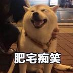 Colaman头像