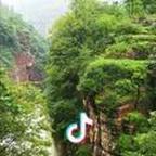 王茂和头像
