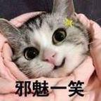MaryMaryGo！头像