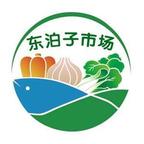 DS头像