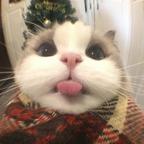 www阳头像