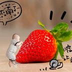 月兔ve头像