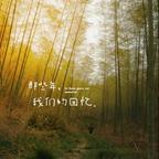 plum李子头像