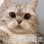 喃喃c头像