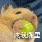 玲♥️头像