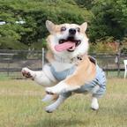 Aries头像