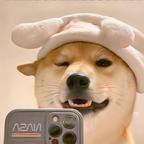 小钢炮！头像