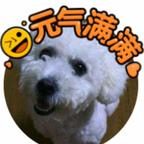 我家糯米头像