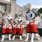 梦美守护三小只(李二狗）头像
