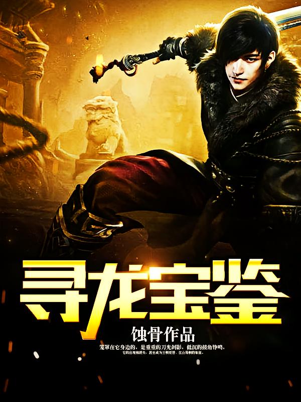 寻龙宝鉴