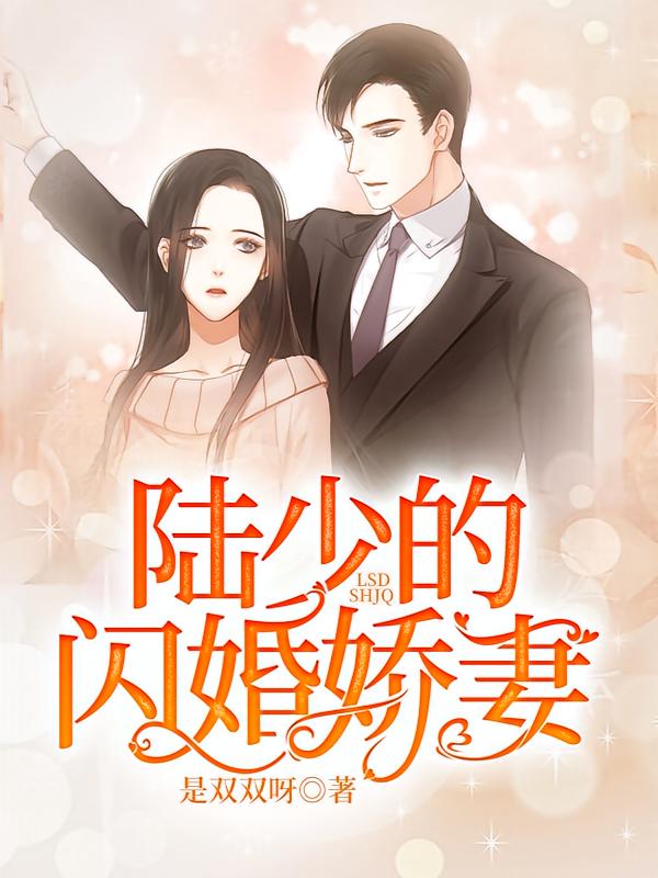 陆少的闪婚娇妻
