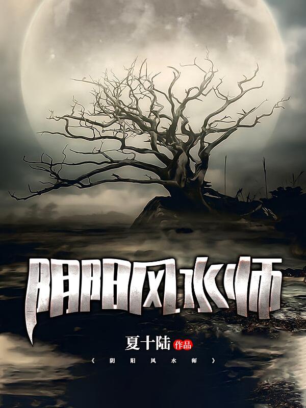 阴阳风水师