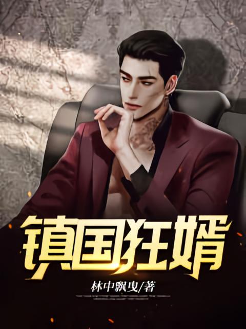 镇国狂婿